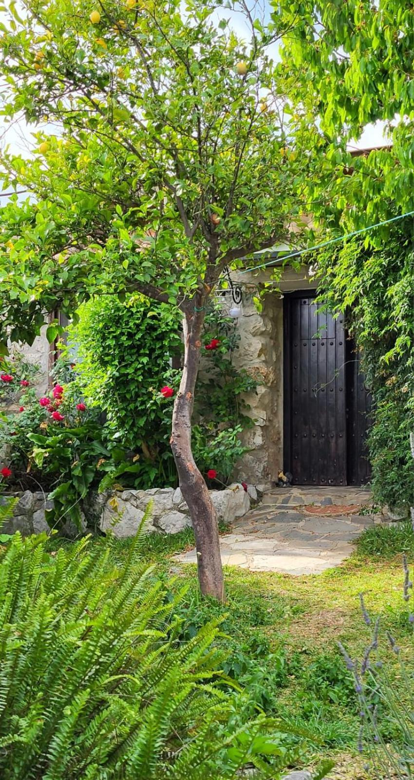 Casa Nani Villa Benaocaz Buitenkant foto
