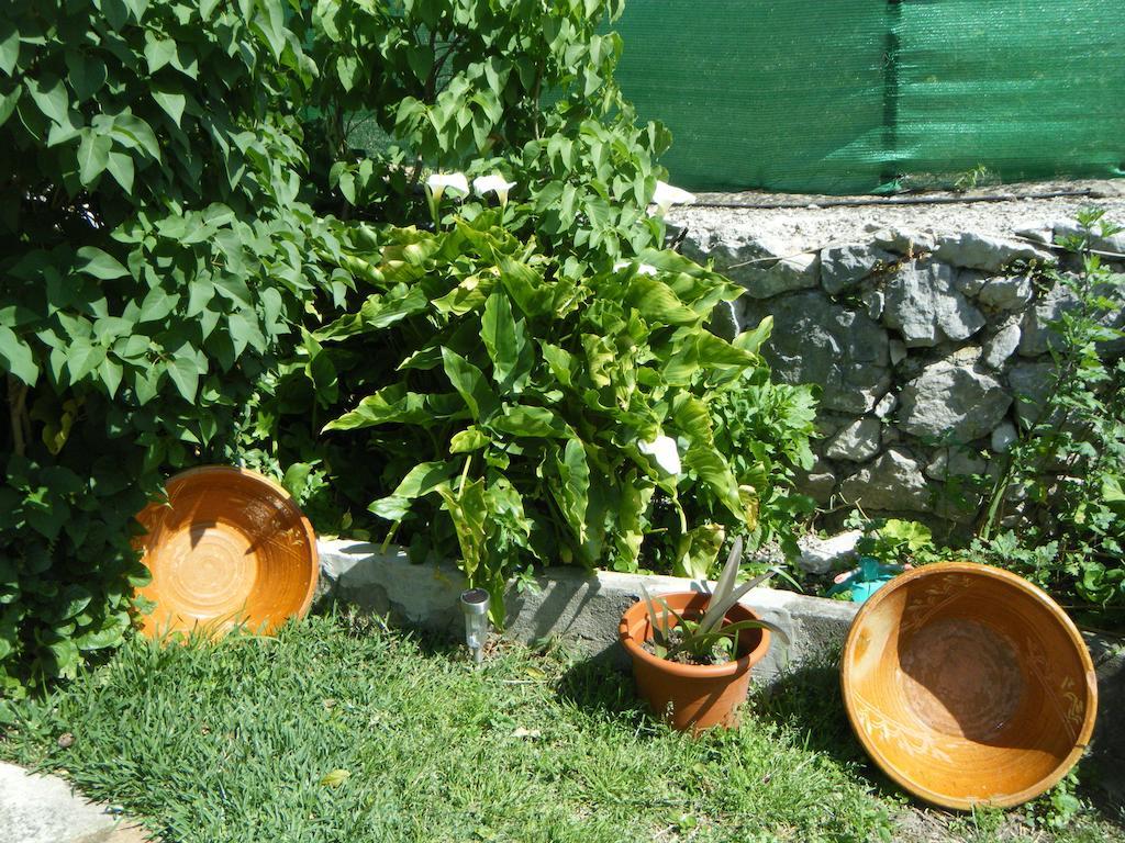 Casa Nani Villa Benaocaz Buitenkant foto