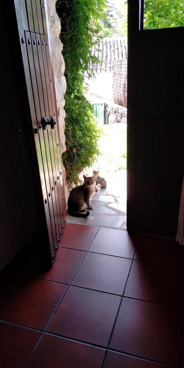 Casa Nani Villa Benaocaz Buitenkant foto